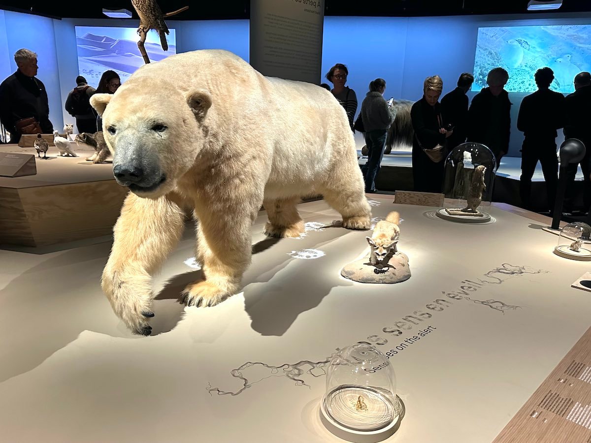 Expo Déserts à la Grande Galerie de l'Evolution du MNHN