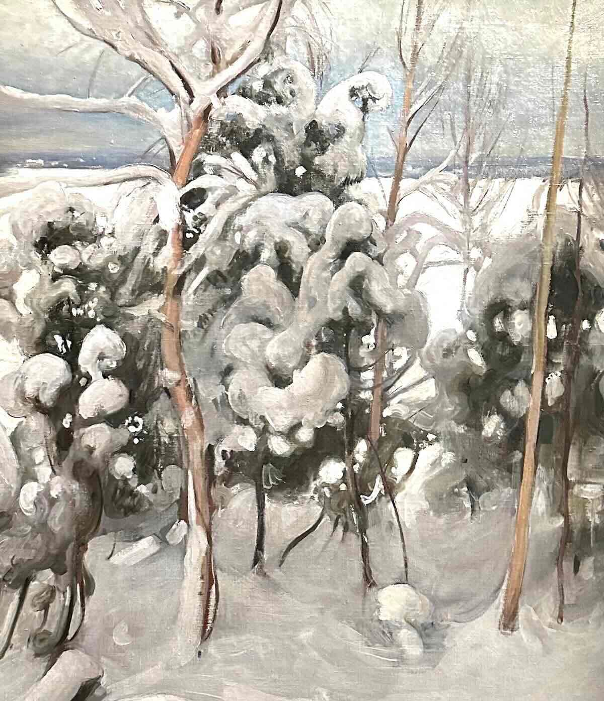 Exposition Petit-Palais Un hymne à la Finlande