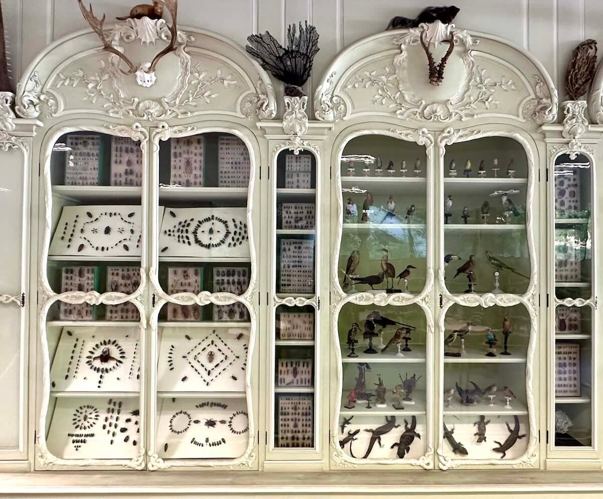 Belles bibliothèques de Paris