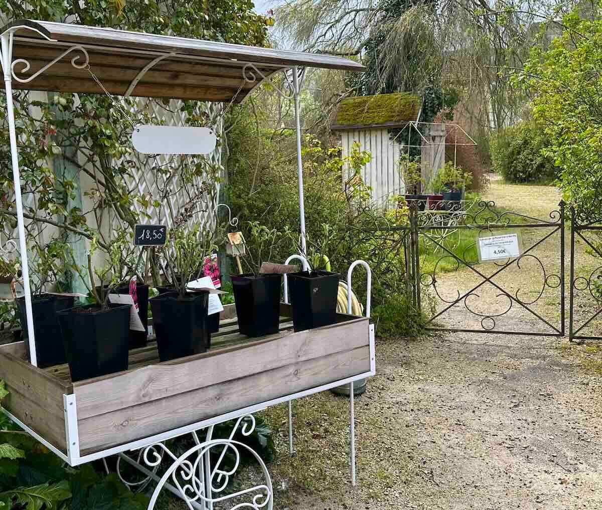 Provins : visite en 1 jour autour de Paris