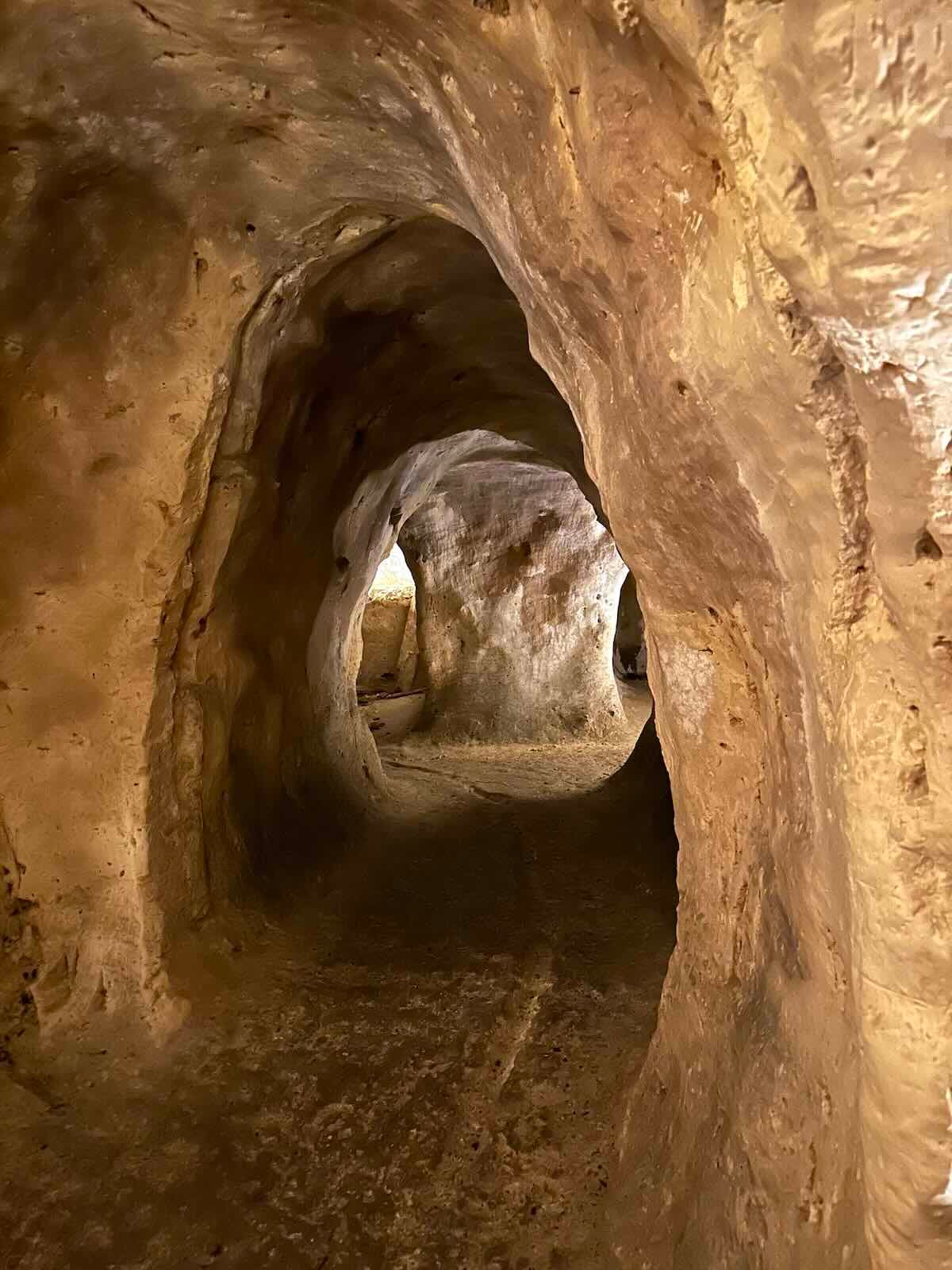 Provins : visite en 1 jour autour de Paris