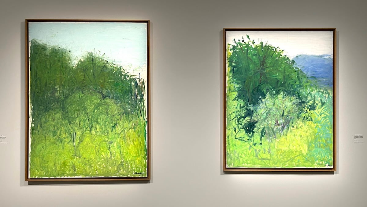 exposition temporaire musée Caillebotte