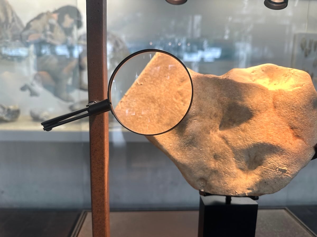 visite autour Paris au Musée de Préhistoire de Nemours