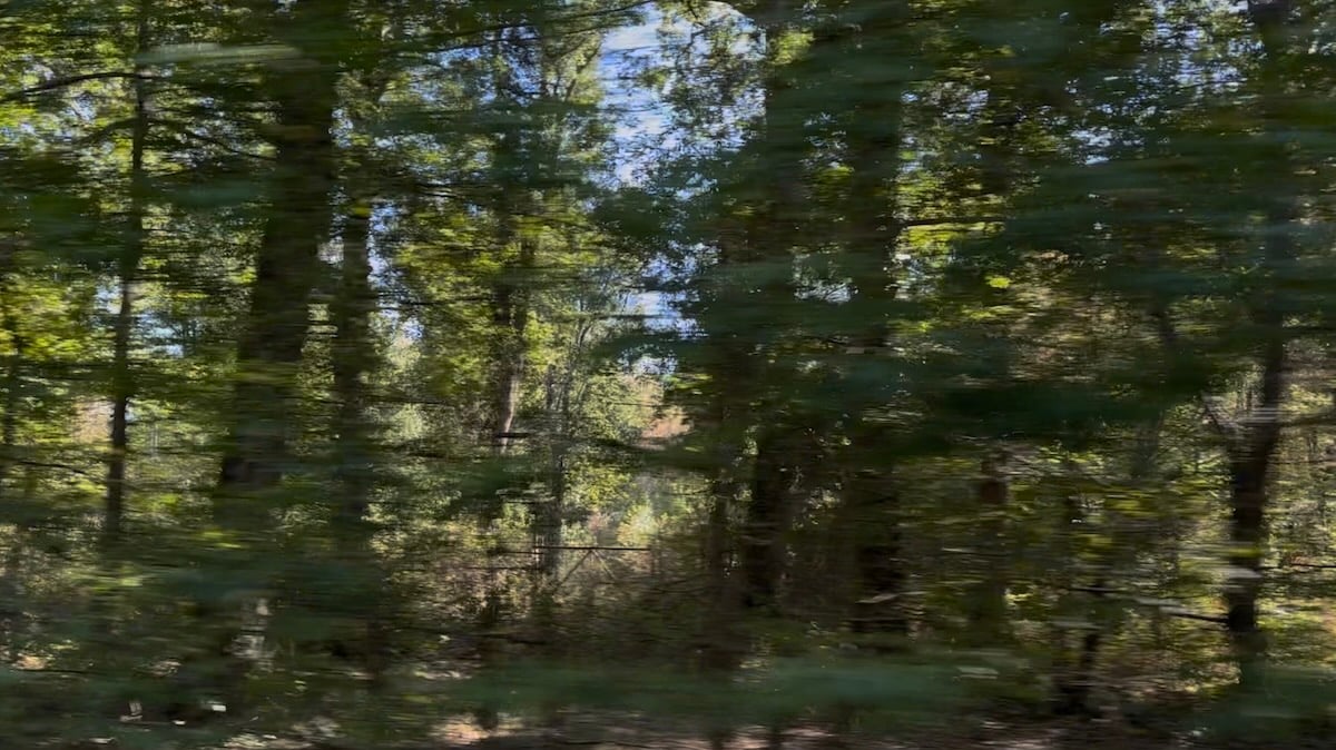 Barbizon