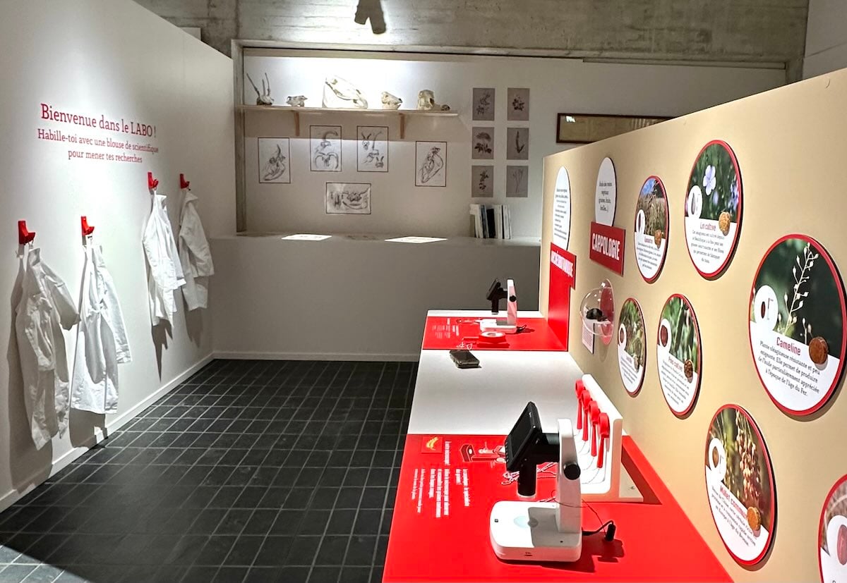 visite autour Paris au Musée de Préhistoire de Nemours