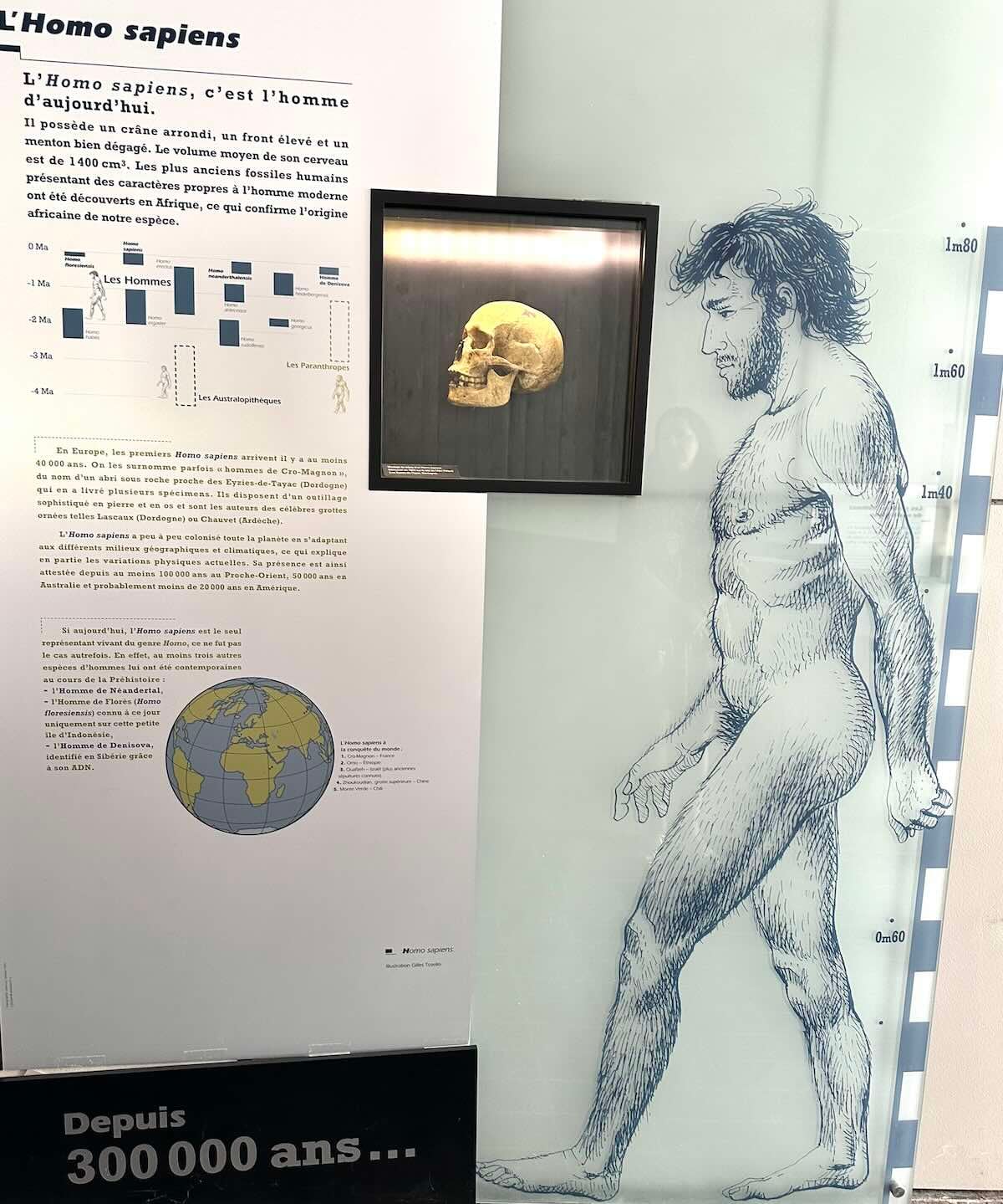 visite autour Paris au Musée de Préhistoire de Nemours