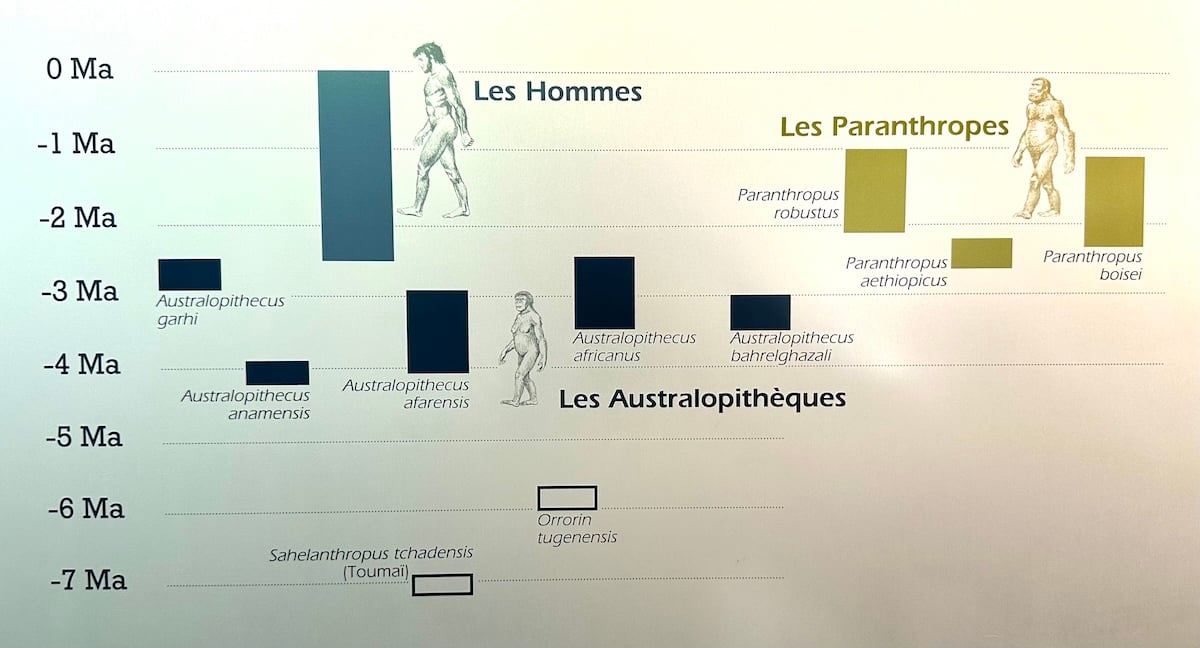 visite autour Paris au Musée de Préhistoire de Nemours