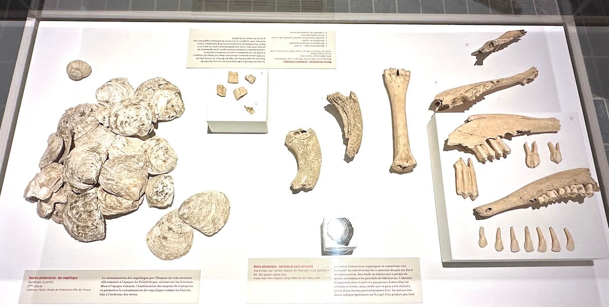 visite autour Paris au Musée de Préhistoire de Nemours