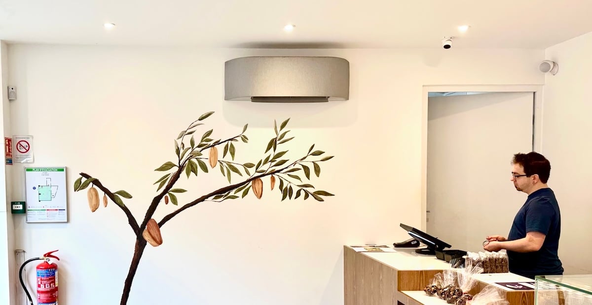 Réalisation de fresques murales et décors sur vitrines